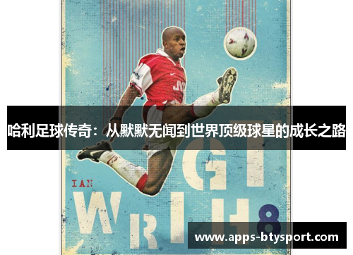 哈利足球传奇：从默默无闻到世界顶级球星的成长之路